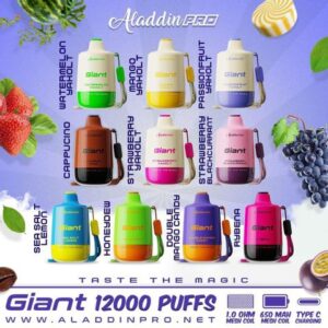 ALADDIN PRO GIANT 12000 PUFFS