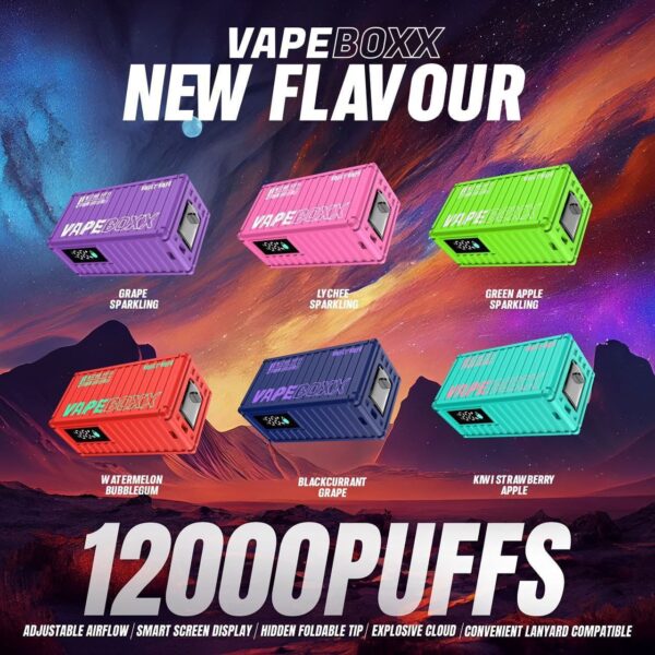 VAPEBOXX 12000 PUFFS